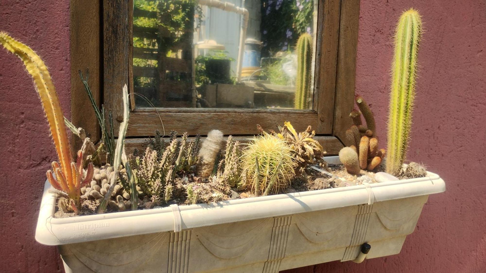 フロリアノポリス Casa Na Ilha Da Magiaヴィラ エクステリア 写真